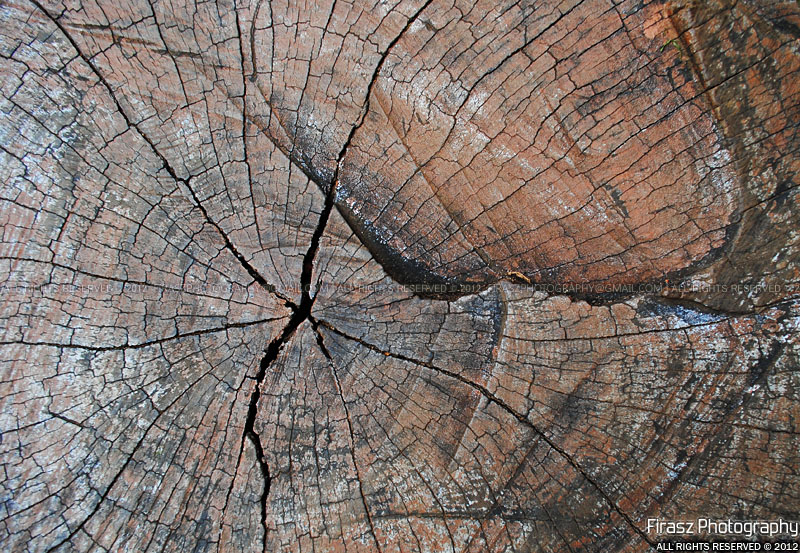Wrinkles of pain and time on a wood 